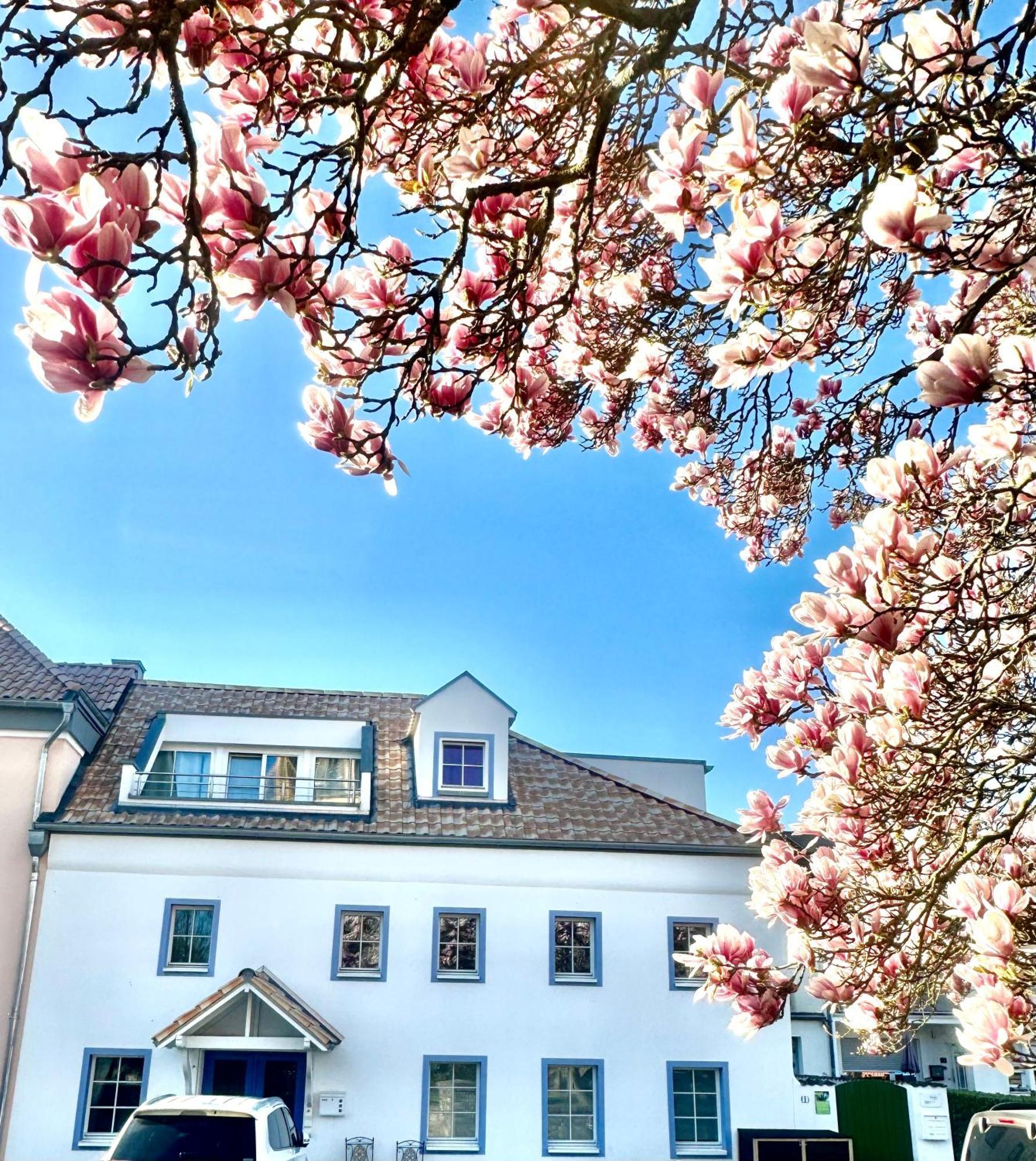 Charmantes Haus Naehe Bonn Koeln Messe Phantasialand Bornheim  Esterno foto
